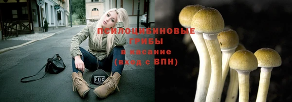 спиды Магас
