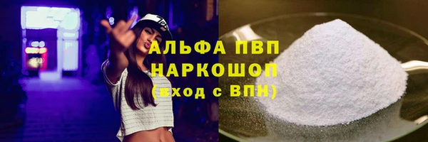 спиды Магас