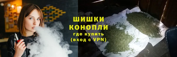 спиды Магас