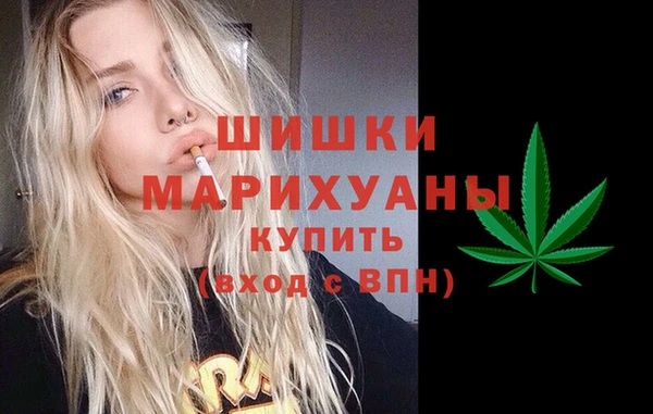 спиды Магас