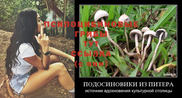 прущая мука Магадан