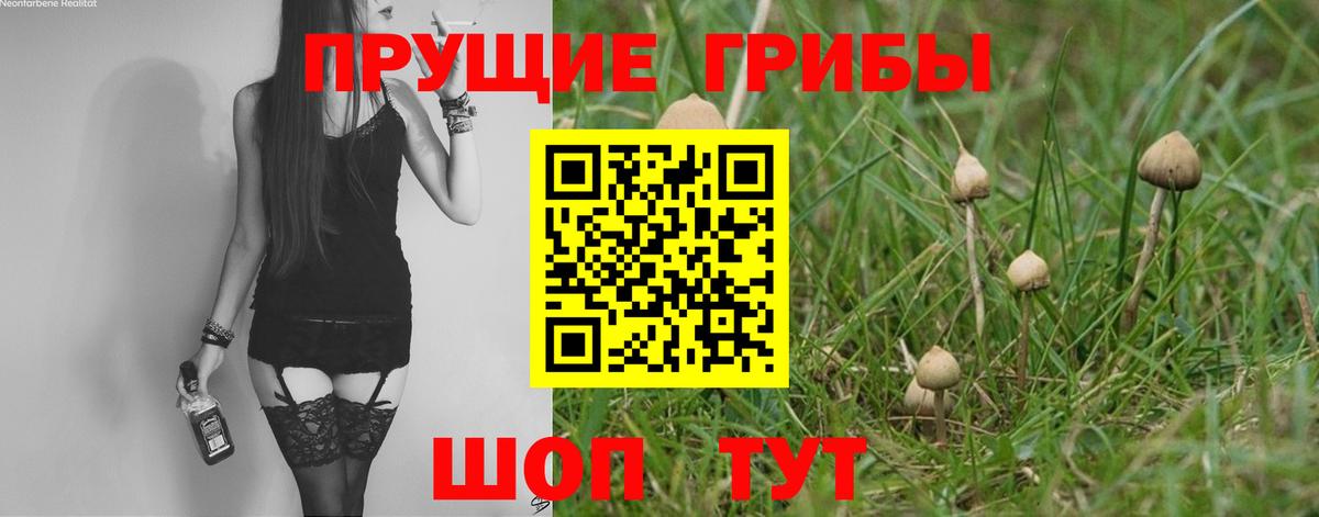 Псилоцибиновые грибы мицелий  купить наркоту  Воронеж 